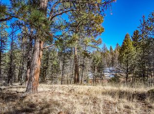 165 Nevada Ln, Florissant, CO 80816