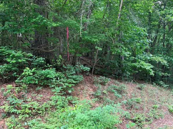 N Marley Ford Rd, Ferguson, NC 28624