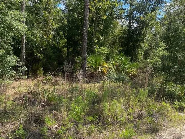 NE 88th Ln, Bronson, FL 32621