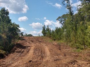 0 Holt Rd, Fayetteville, GA 30215