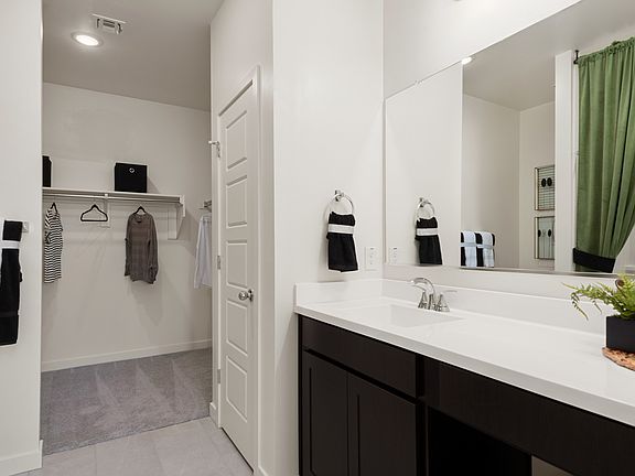 Owner s bath sink