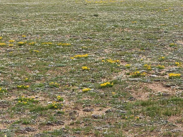 TRACT 32 Roan Rd, Laramie, WY 82070