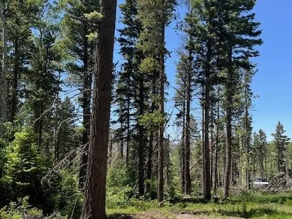 Lot 2449 Petito Drive, Fort Garland, CO 81133