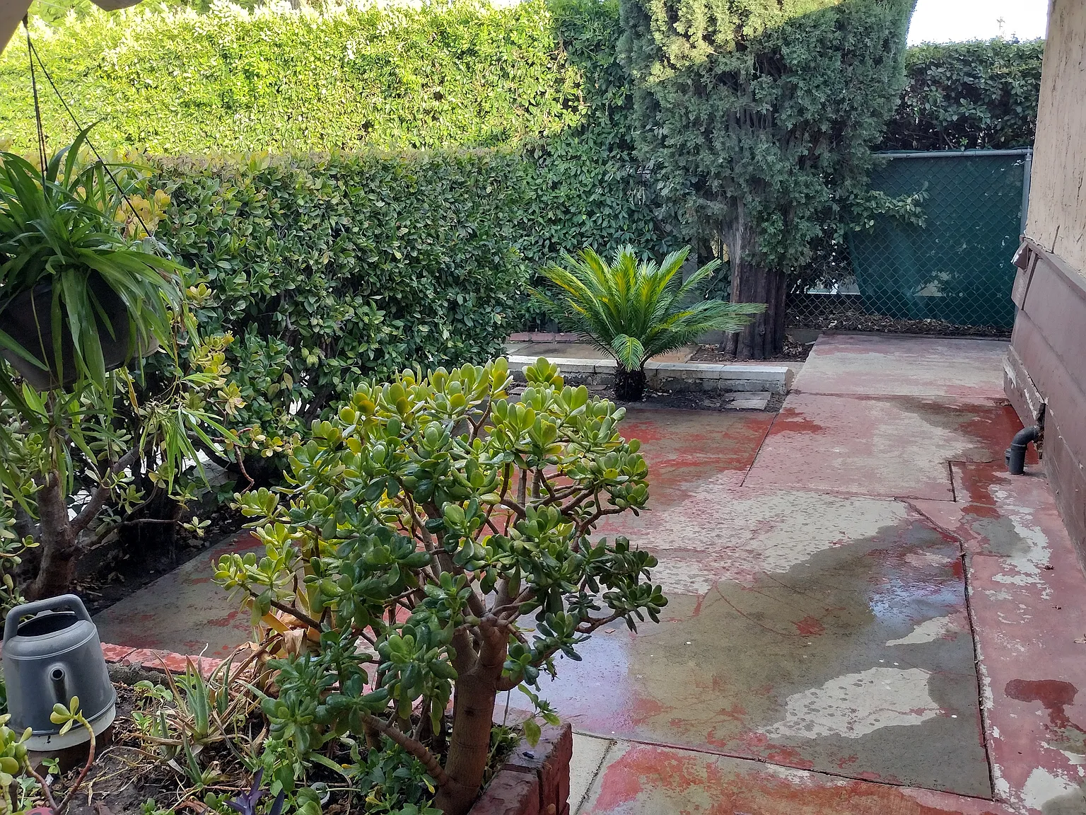 4 bed, 1254 sqft, $3,900 — Photo 4
