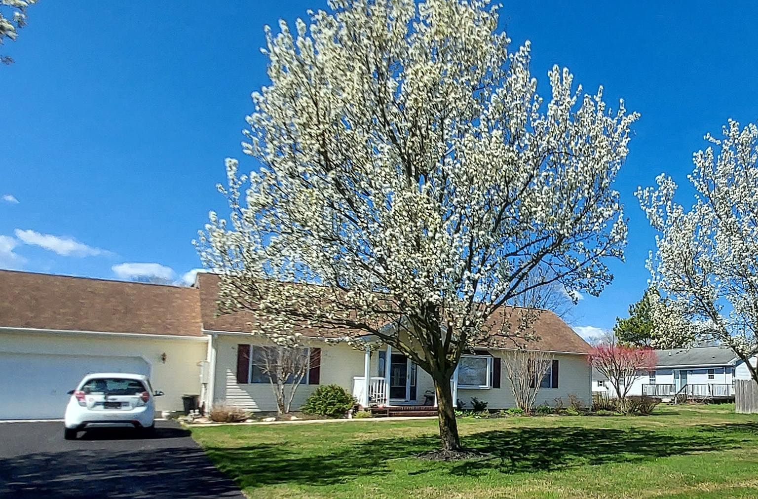 108 Starlight Dr 12575, Milton, DE 19968 Zillow