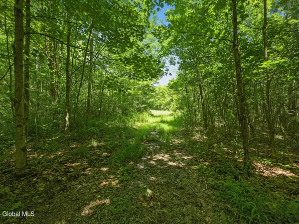 L9 Winegard Road, Seward, NY 12149