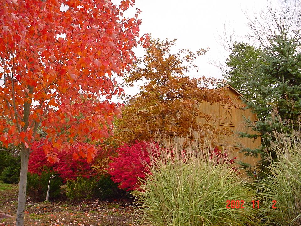 Falltime near the barn.