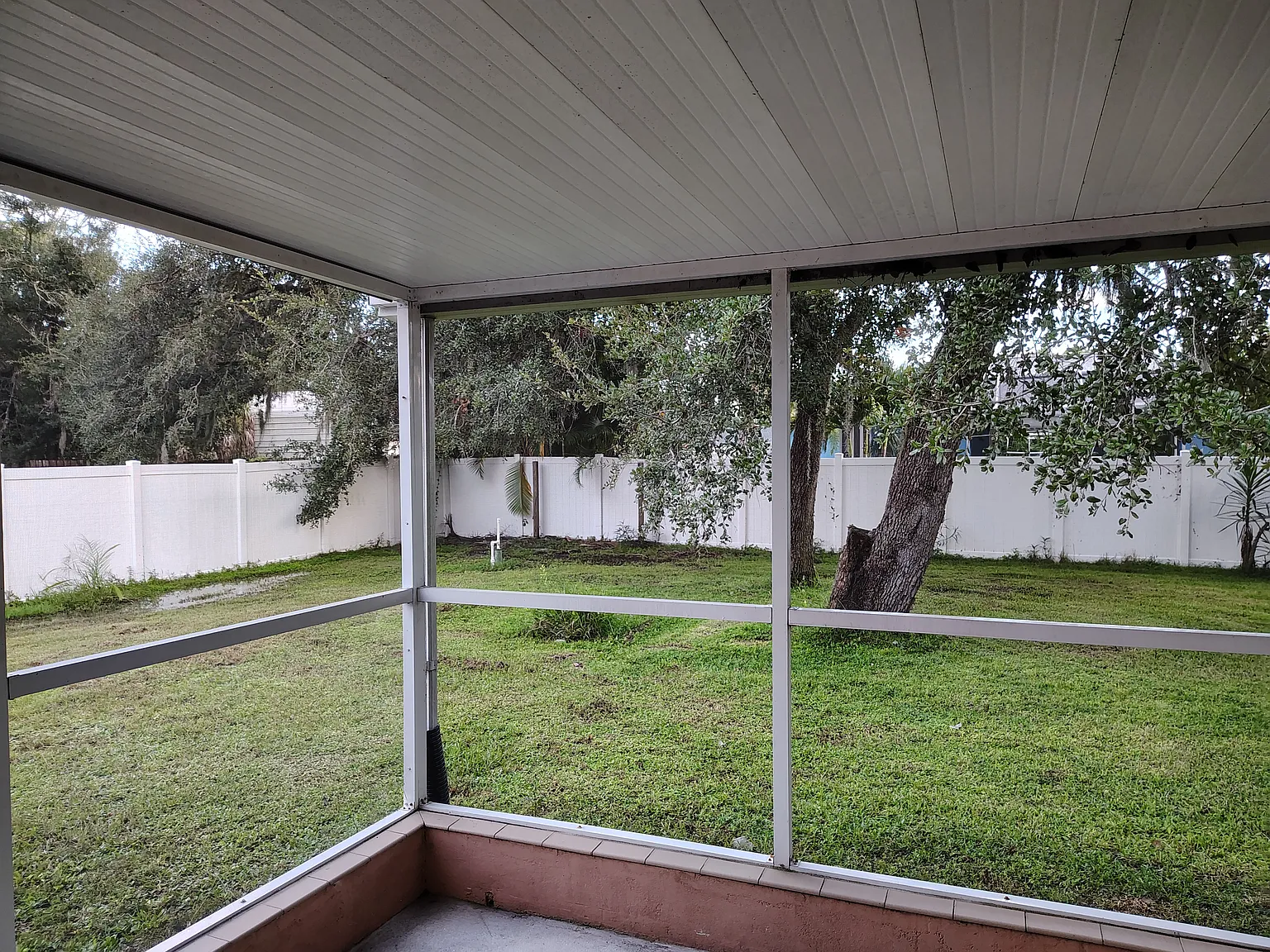 3 bed, 1600 sqft, $1,750 — Photo 3
