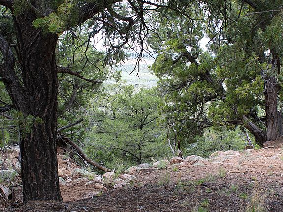 4th image of 200 Vallecitos Rd