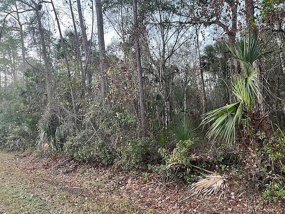 2nd image of 3754 CRANBERRY AVENUE