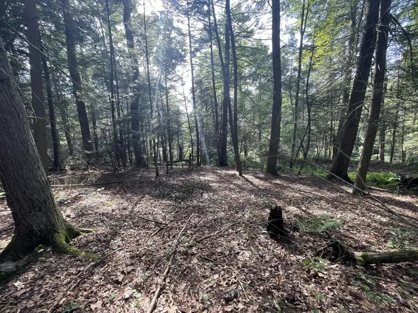 1260 Elliot Cutoff Rd, Victor, WV 25938