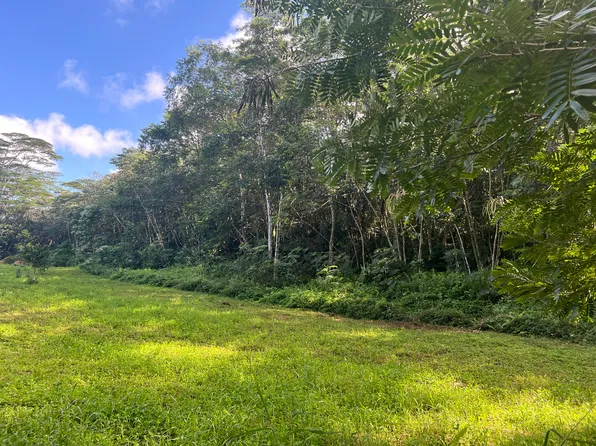 Noni Farm Rd, Pahoa, HI 96778
