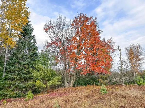 136A Darlaks Bay Rd, Phillips, WI 54555