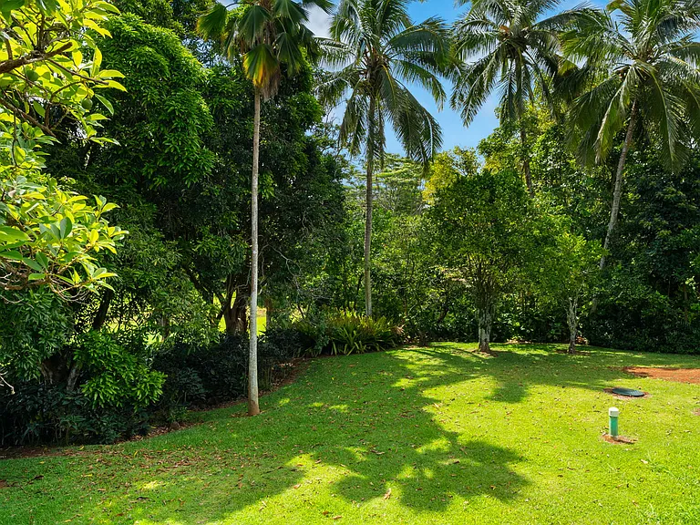 4429A Kaluamakua Pl #2 — Photo 36