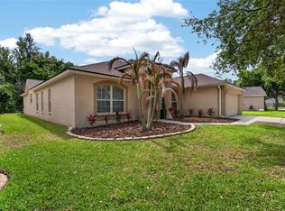 6006 Shearwater Ln, Lithia, FL 33547
