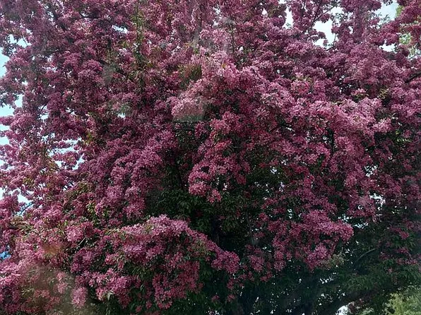 236 N East St, Cheboygan, MI 49721