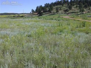 87 S Deer Mountain Rd, Florissant, CO 80816