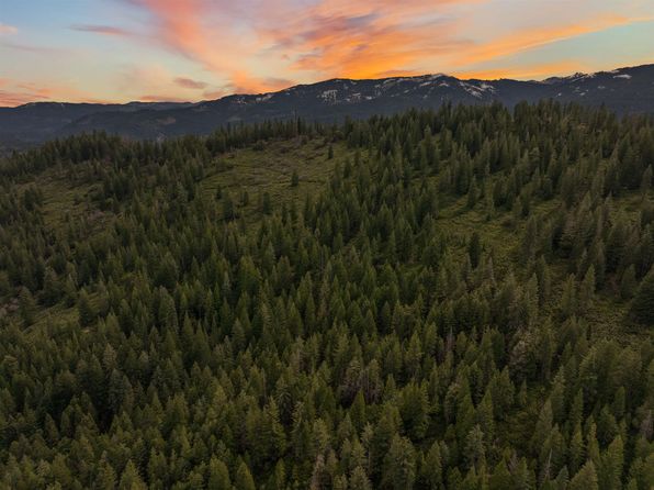 2120 Pack Trl, Mount Shasta, CA 96067