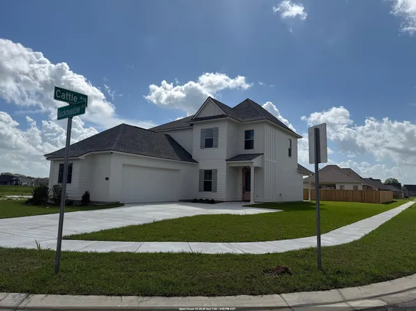 37253 Buckmeadow Ave, Prairieville, LA 70769