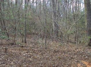 LT18A Fowler, Ellijay, GA 30540