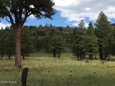 Snow Bowl N Snow Bowl Rd, Flagstaff, AZ, 86001