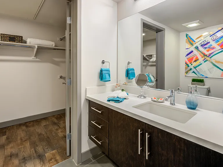 Bathroom + Closet