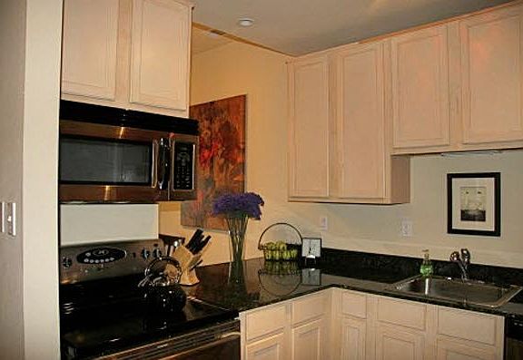 Great kitchen with range, microwave, dishwasher, fridge (with ice maker) and terrific counter space.