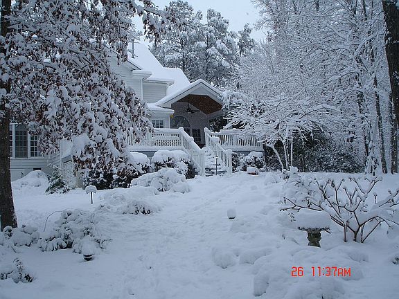 Winter scene