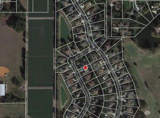 2412 Blue Stone Ct, Valrico, FL 33594