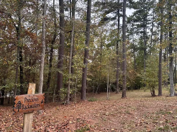 1561 Treasure Cove, Tignall, GA