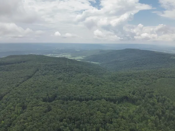 4872 Deer Run Rd, Altamont, TN 37301