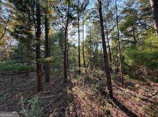 Roosevelt Hwy, Warm Springs, GA 31830