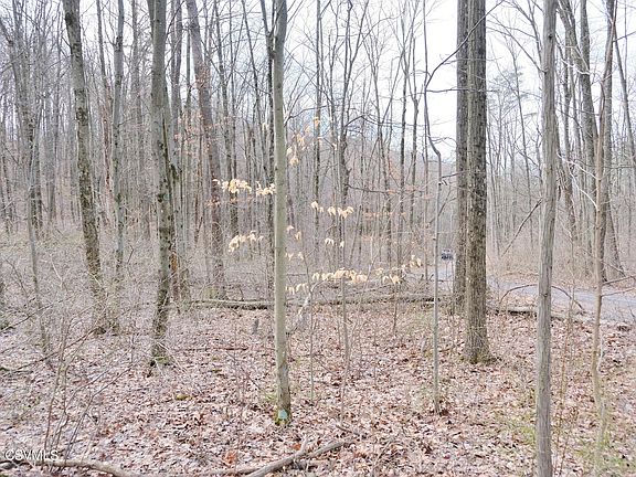 4th image of 530 Tall Oak Ln