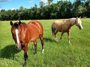 7598 W Riverbend Rd, Dunnellon, FL 34433