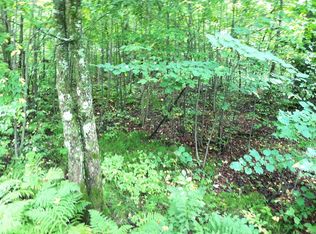 Chip N Dale Dr #63, Pickerel, WI 54465