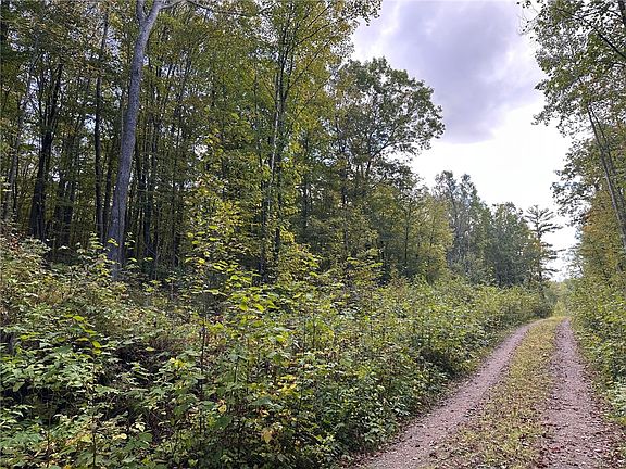 2nd image of 0 County Forest Road