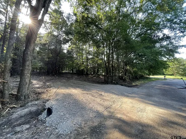 TRACT 3 Vz County Road 4910, Ben Wheeler, TX 75754