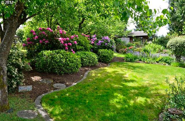 Back Yard 1