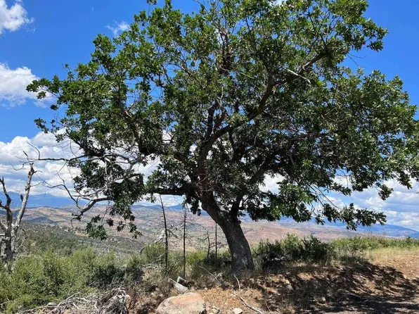 LOT 580 Owens Way, Hornbrook, CA 96044