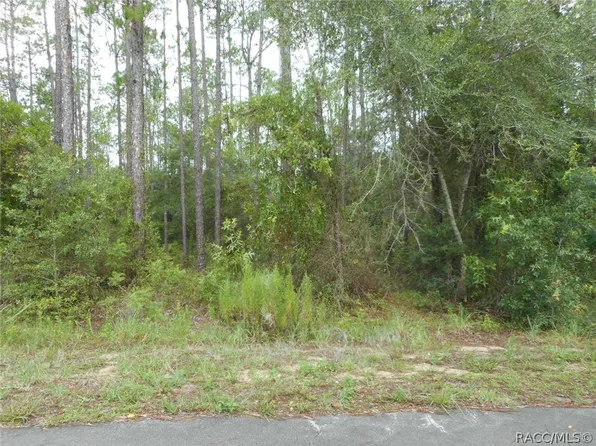L5 SW South View Ct, Dunnellon, FL 34431
