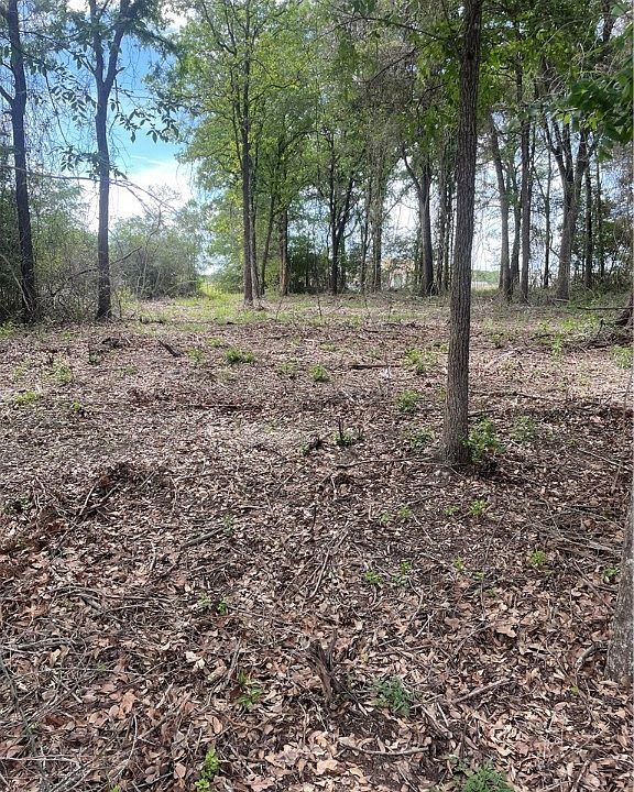 1st image of Yaupon Ln