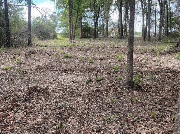 Yaupon Ln, Normangee, TX 77871