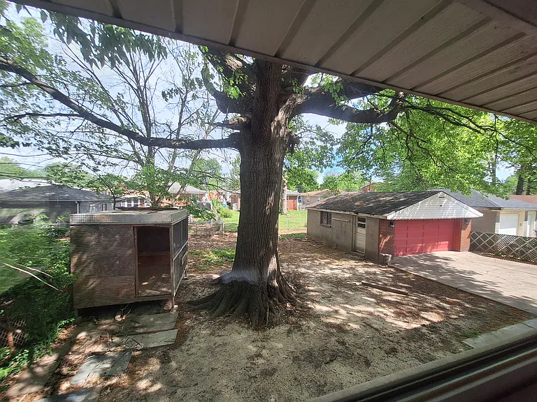 backyard with shed and garage