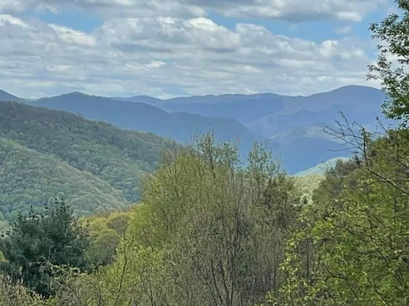 0 Jerome Ln, Leicester, NC 28748