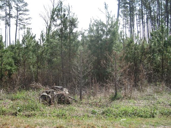 5th image of Cattle Farm Rd