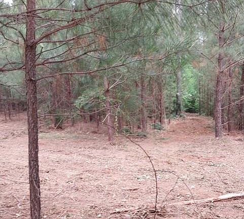 5th image of Waters Edge Dr #52