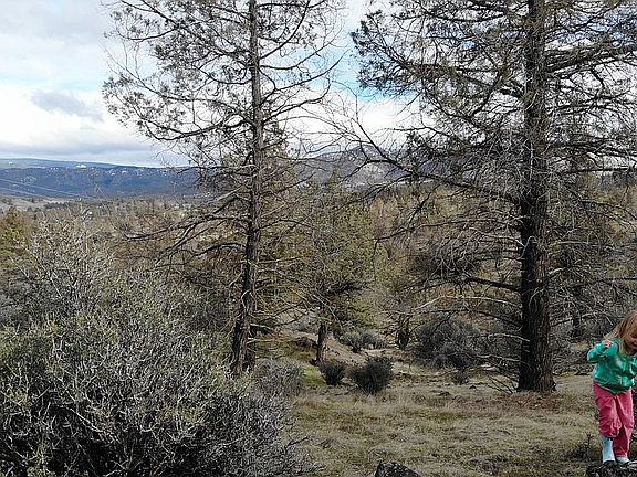 Potential home site