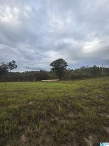 1089 County Road 351, Maplesville, AL, 36750