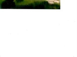 38258 E Kings Canyon Rd, Dunlap, CA 93621