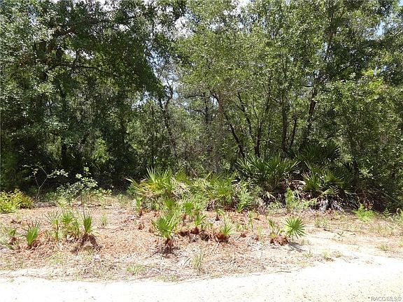 2nd image of 5020 N Smokey Mountain Point